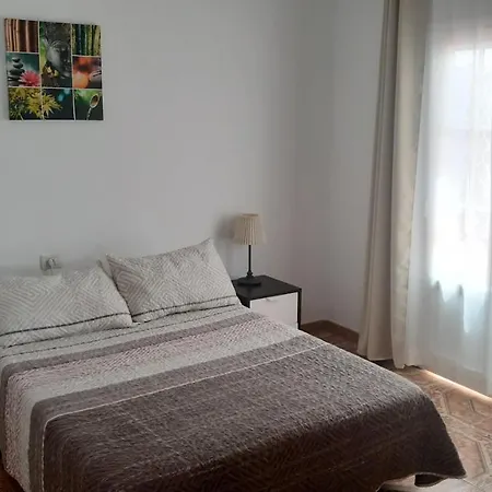Apartment Apartamentos Orzola